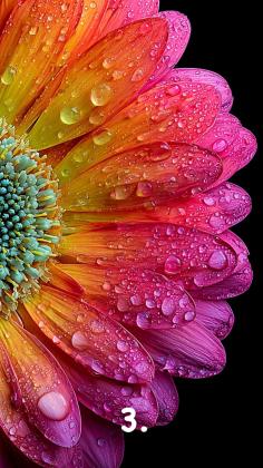 Preview: No 18 Yarn-Club Klein bestellbar bis 29.03.26